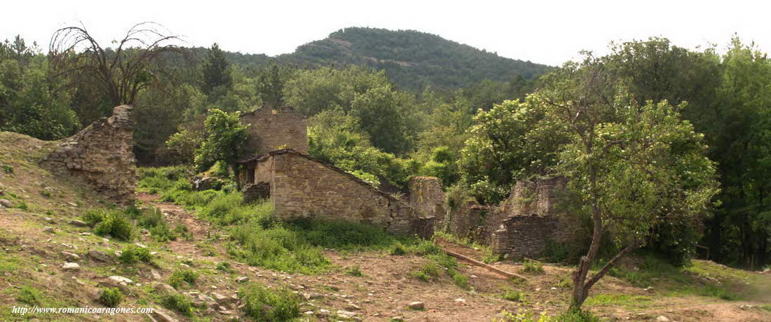 RUINAS DE LA PARDINA DE FANLO