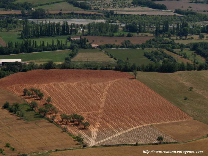 VEGA DEL ARA A LOS PIES DE GUASO