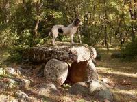 DOLMEN DE LA CABANETA DEL TRANCAT DE DALT