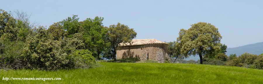 ERMITA DE SAN PEDRO, ENTRE CAMPOS DE CEREAL