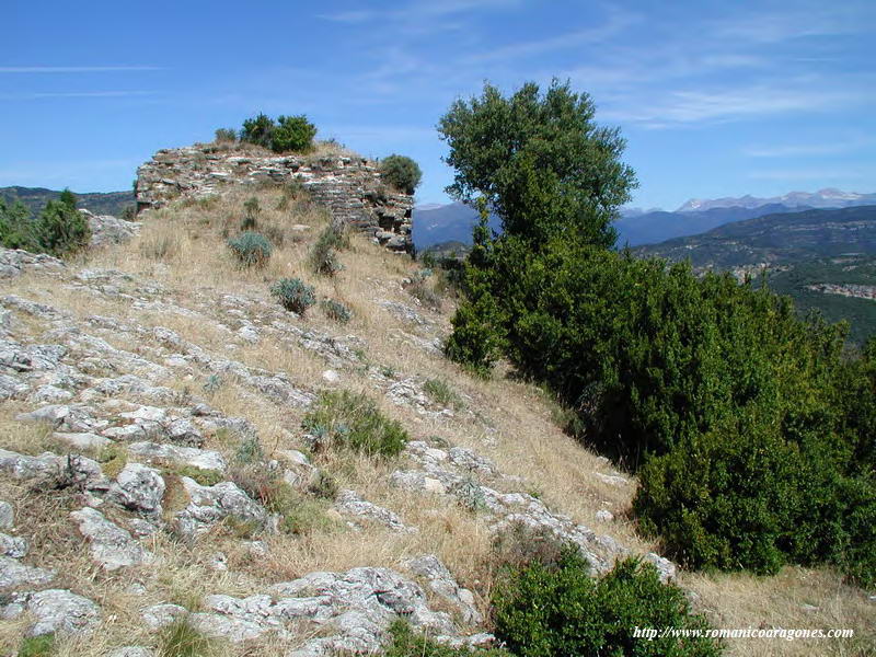 VISTA SUR DEL TORREN CON EL PIRINEO AL FONDO